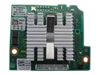 [540-11124] Dell QLogic 57810-k - Kit - Netzwerkadapter - 10Gb Ethernet / FCoE x 2