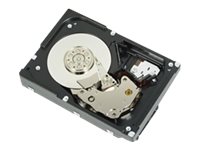 [400-24171] Dell  Festplatte - 300 GB - Hot-Swap - 2.5" (6.4 cm)