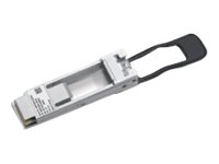 [407-BBZL] Dell Customer Kit - Netzwerkadapter - QSFP28 zu SFP28