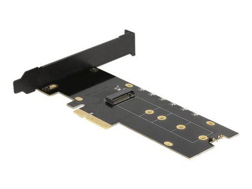 [89013] Delock Speicher-Controller - M.2 - M.2 NVMe Card / PCIe 4.0 (NVMe)