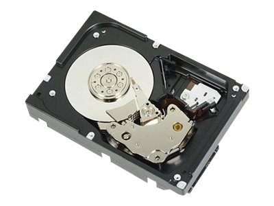 [400-23585] Dell Nearline - Festplatte - 1 TB - Hot-Swap - 3.5" (8.9 cm)