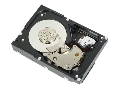 [400-21538] Dell Nearline - Festplatte - 1 TB - intern - 3.5" (8.9 cm)
