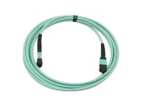 [470-ABPE] Dell  Netzwerkkabel - MTP zu LC - 3 m - Glasfaser