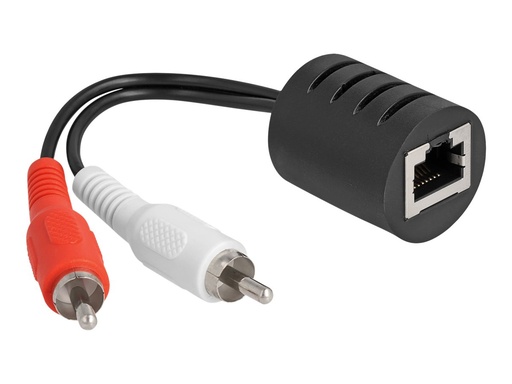 [87857] Delock Audio-Adapter - RJ-45 weiblich zu RCA x 2 männlich - Schwarz (Packung mit 2)