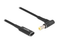 [60038] Delock Adapter für Power Connector - USB-C (nur Spannung)