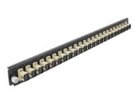 [43353] Delock Rack-Montageblech für Glasfaser-Spleißbox - Vorderseite - SC MM X 24 - beige - 1U - 48.3 cm (19")