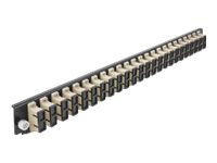 [43365] Delock Rack-Montageblech für Glasfaser-Spleißbox - Vorderseite - SC MM X 24 - beige - 1U - 48.3 cm (19")