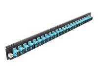 [43354] Delock Rack-Montageblech für Glasfaser-Spleißbox - Vorderseite - SC MM X 24 - Aquamarin - 1U - 48.3 cm (19")