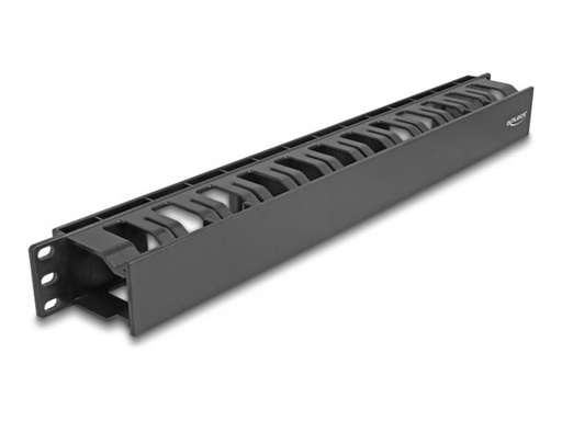 [67021] Delock Kabelführungsplatte für Schaltschrank - mit 2 Öffnungen, Kunststoff - Schwarz - 1U - 48.3 cm (19")