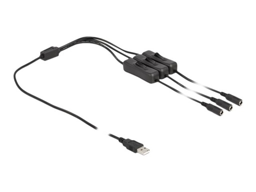 [86798] Delock Stromkabel - USB (M) zu Gleichstromstecker 5,5 x 2,1 mm (W)