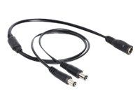 [83286] Delock Netz-Splitter - Gleichstromstecker 5,5 x 2,1 mm (M)