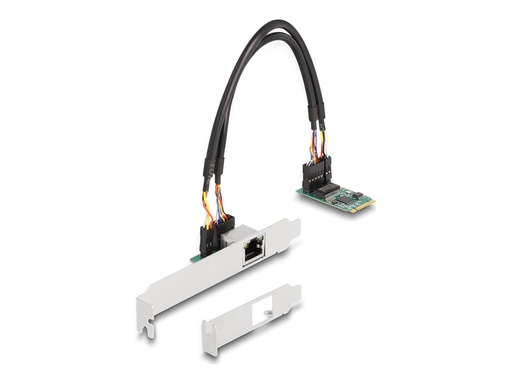 [95272] Delock Netzwerkadapter - M.2 2242 Low-Profile