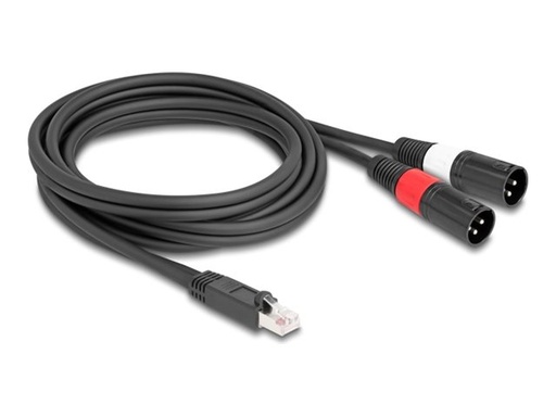 [88173] Delock Netzwerkkabel - RJ-45 (M) Stecker zu XLR3 (M)