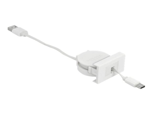 [81318] Delock USB-Kabel - USB (M) zu 24 pin USB-C (M)