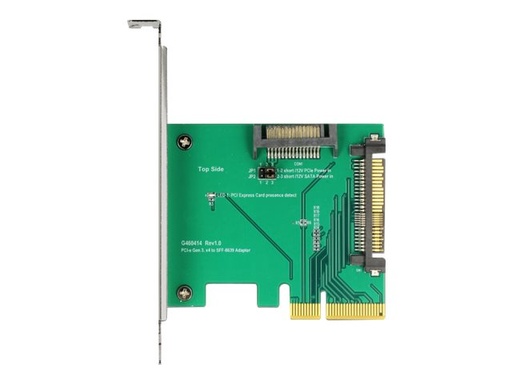 [89673] Delock Schnittstellenadapter - Ultra M.2 Card