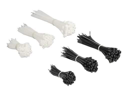 [19355] Delock Cable tie assortment box 600 pieces - Kabelbinder-Kit