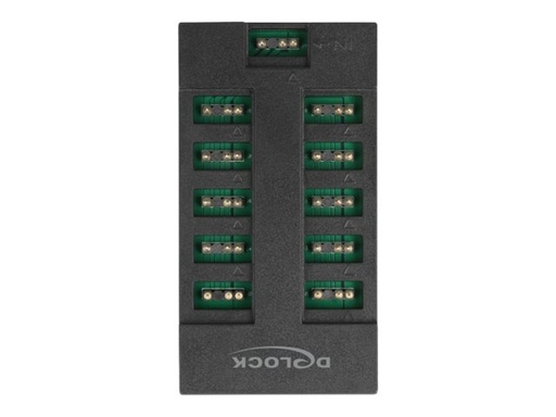 [64128] Delock RGB LED-Licht-Hub - 10 Ports - Schwarz