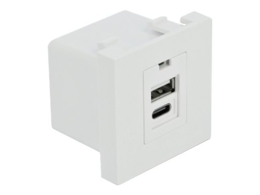 [81313] Delock Easy 45 - USB-Ausgang - USB, USB Typ-C