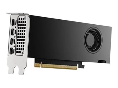 [DELL-M7X81] Dell NVIDIA RTX - Grafikkarte - NVIDIA RTX 2000 Ada