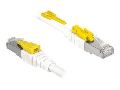 [85335] Delock Secure - Patch-Kabel - RJ-45 (M) zu RJ-45 (M)