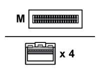 [4Z57A85043] Lenovo Breakout-Direktanschlusskabel - QSFP28