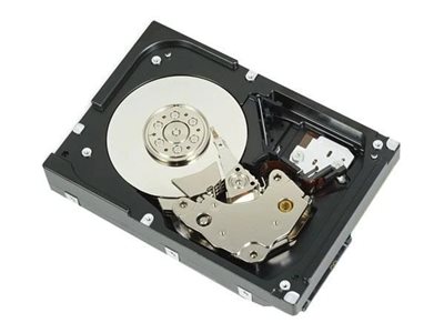 [161-BBFN] Dell  Kunden-Kit - Festplatte - 12 TB - 512e, ISE - intern - 3.5" (8.9 cm)