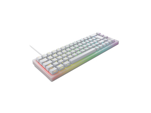 [CX-K5V2-RGB-CPT-TPWHITE-R-NOR] Cherry XTRFY K5V2 - Tastatur - 65% - compact - hintergrundbeleuchtet - USB - QWERTY - Nordisch - Tastenschalter: CHERRY MX2A Red (austauschbar im laufenden Betrieb)