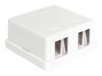 [86207] Delock Keystone Surface Mounted Box - Gehäuse