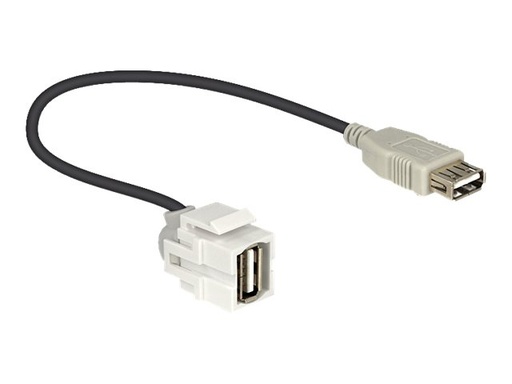 [86329] Delock Modulare Eingabe - USB Type A