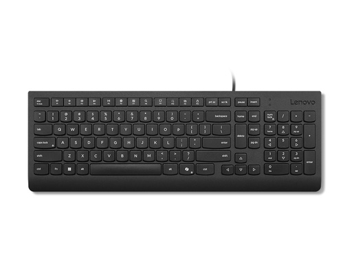 [4Y41R64639] Lenovo Essential - Tastatur - USB - QWERTY