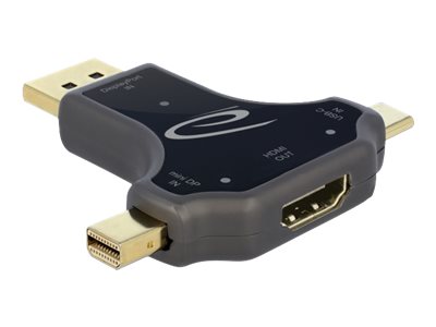 [64060] Delock Videoadapter - 24 pin USB-C, Mini DisplayPort, DisplayPort männlich zu HDMI weiblich