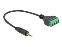 [66256] Delock Audio-Adapter - 2,5 mm 4-poliger Stereoanschluss männlich zu 4-poliger Anschlussblock