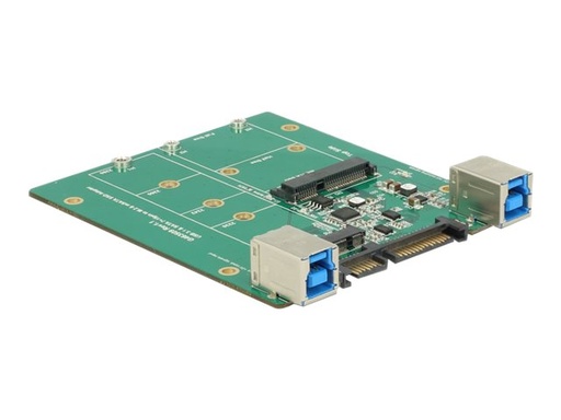[62732] Delock Converter SATA / USB 3.1 type B socket> M.2 / mSATA slot - Speicher-Controller - mSATA, M.2 - M.2 Card / mSATA - SATA 3Gb/s, USB 3.1 (Gen 2)