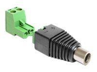 [65423] Delock Adapter DC 2.1 x 5.5 mm male > Terminal Block - Netzteil - 2-polige Klemmleiste (W)