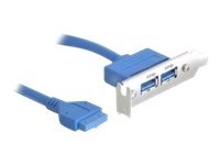 [82976] Delock Slot bracket - USB-Konsole - 19-poliger USB 3.0 Kopf (W)