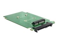 [62432] Delock Converter SATA 22 pin > mSATA - Speicher-Controller