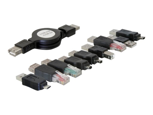[18612] Delock USB adapter kit - USB-Adapterkit