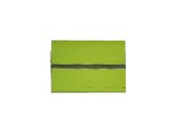 [888017183] Lenovo Schutzhülle für Tablet - grün - 8"