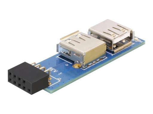 [41820] Delock USB Pinheader - USB-Adapter (W) zu USB (W)