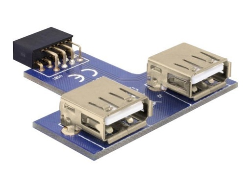 [41824] Delock USB Pinheader - USB-Adapter (W) zu USB (W)