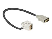 [86326] Delock Keystone Module HDMI female > HDMI female