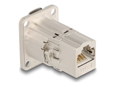 [67062] Delock Netzwerkkoppler - RJ-45 (W) D-Typ zu RJ-45 (W)