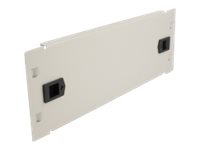 [66631] Delock Rack-Blindabdeckungsplatte - Grau - 2U - 25.4 cm (10")