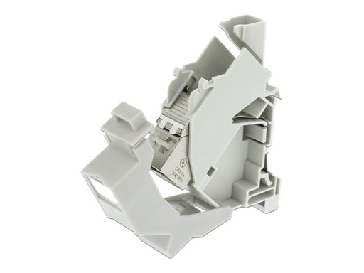 [86292] Delock Keystone Mounting for DIN rail with dust cover