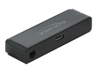 [64188] Delock Schnittstellenadapter - 2.5", 3.5" (6.4 cm, 8.9 cm)