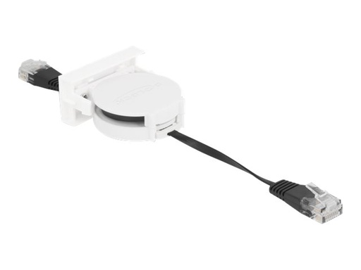 [81361] Delock Patch-Kabel - RJ-45 (M) zu RJ-45 (M)