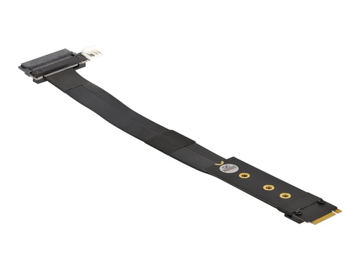 [64216] Delock Schnittstellenadapter - U.2 NVMe - M.2