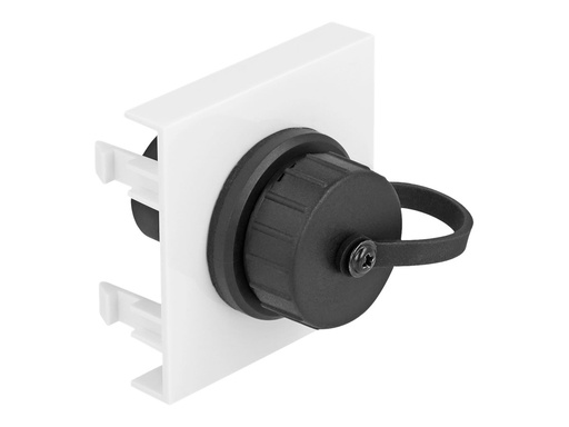 [81410] Delock Easy 45 - Einrastmodul - SuperSpeed 5 Gbps (3.2 Gen 1)