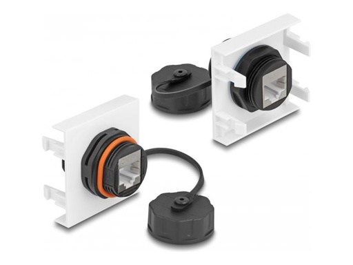 [81411] Delock Easy 45 - Einrastmodul - 45 x 45 mm