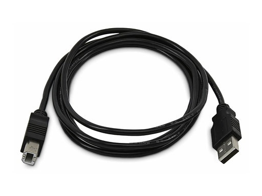 [SKUSBAB06-TAA] StarTech.com USB-Kabel - TAA-konform - USB (M)